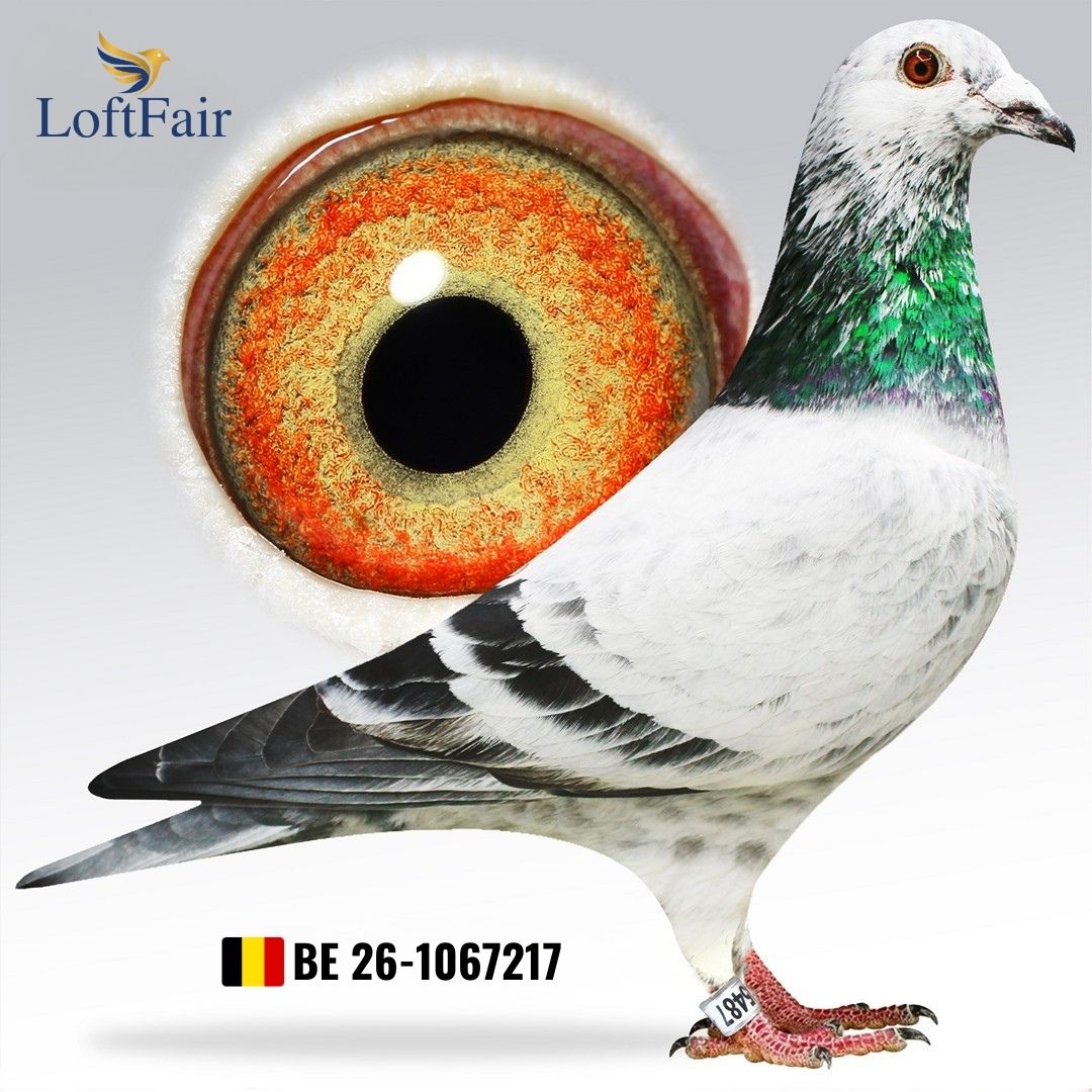 <br />
<b>Deprecated</b>:  htmlspecialchars(): Passing null to parameter #1 ($string) of type string is deprecated in <b>/home/zyomsaomay/loftfair.com/views/public_pages/anasayfa.view.php</b> on line <b>40</b><br />
